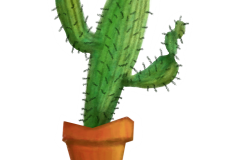 cacti