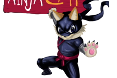 ninja-cat-1